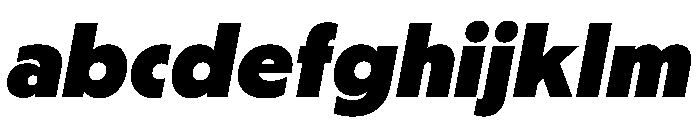 PPNikkeiJournal UltraboldOblique Instance FONT