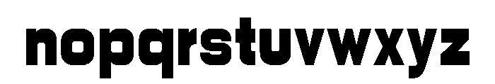 PPNikkeiLine Bold Instance Font LOWERCASE
