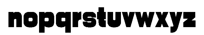 PPNikkeiLine Heavy Instance Font LOWERCASE
