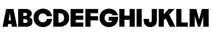 PPNikkeiMaru Bold Instance Font UPPERCASE