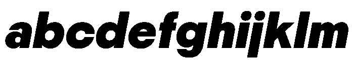 PPNikkeiMaru BoldItalic Instance FONT