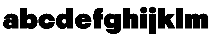 PPNikkeiMaru Heavy Instance FONT