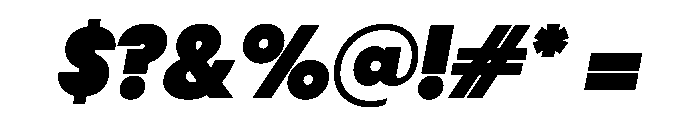PPNikkeiMaru HeavyItalic Instance Font OTHER CHARS