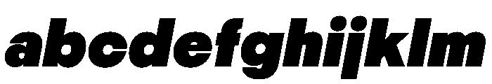 PPNikkeiMaru HeavyItalic Instance FONT
