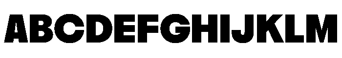 PPNikkeiMaru Ultrabold Instance Font UPPERCASE