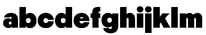 PPNikkeiMaru Ultrabold Instance FONT