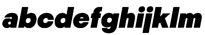 PPNikkeiMaru UltraboldItalic Instance FONT