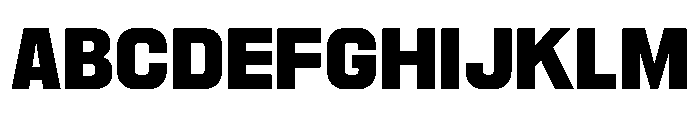 PPNikkeiPacific Bold Instance Font UPPERCASE