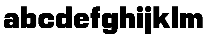 PPNikkeiPacific Bold Instance FONT