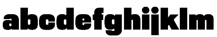 PPNikkeiPacific Heavy Instance FONT
