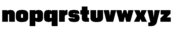 PPNikkeiPacific Heavy Instance Font LOWERCASE