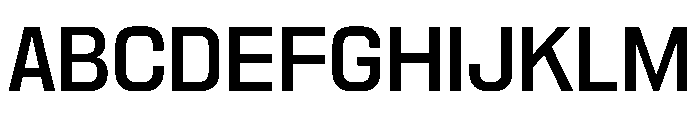 PPNikkeiPacific Regular Instance Font UPPERCASE