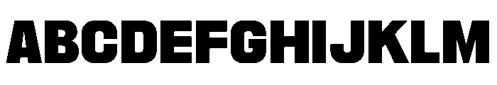 PPNikkeiPacific Ultrabold Instance Font UPPERCASE