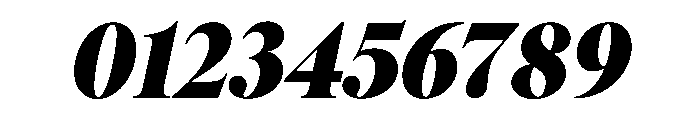 PPPangaia BlackItalic Instance Font OTHER CHARS
