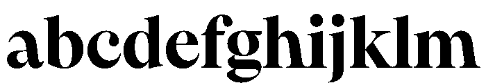 PPPangaia Bold Instance FONT