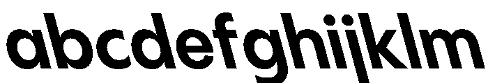 PPPangramSansCompact BoldReclined Instance FONT