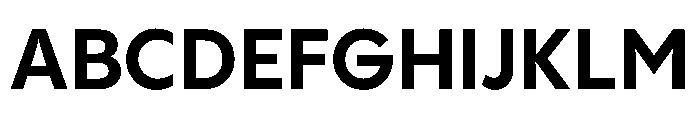PPPangramSansNormal Bold Instance Font UPPERCASE