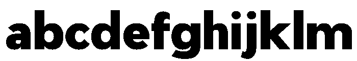 PPPierSans Black 825e9f9d FONT