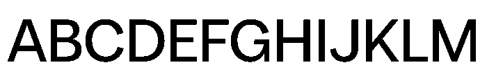 PPRadioGrotesk Medium Font UPPERCASE