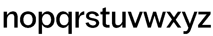 PPRadioGrotesk Medium Font LOWERCASE