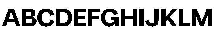 PPRadioGrotesk Ultrabold Instance Font UPPERCASE