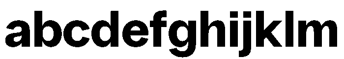 PPRadioGrotesk Ultrabold Instance FONT
