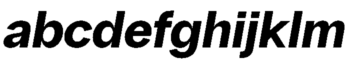 PPRadioGrotesk UltraboldItalic Instance FONT