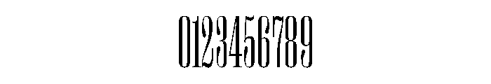 PPRightDidone TallFine Instance Font OTHER CHARS