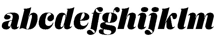 PPRightDidoneItalic Black Instance FONT