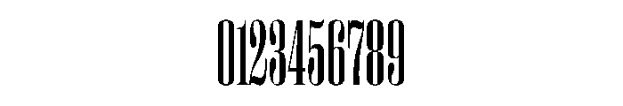 PPRightDidoneTall Regular Instance Font OTHER CHARS