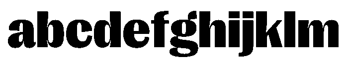PPRightGothic Black Instance FONT