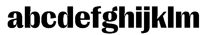 PPRightGothic Dark Instance FONT