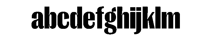 PPRightGothic NarrowBlack Instance FONT
