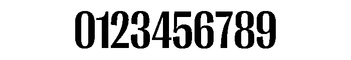 PPRightGothic NarrowBold Instance Font OTHER CHARS