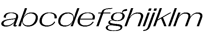 PPRightGothic SpatialLightItalic Instance FONT