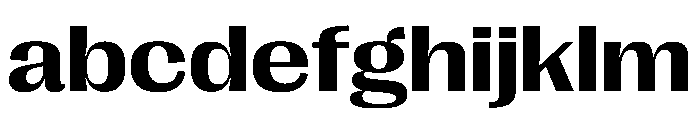 PPRightGothic WideBold Instance FONT