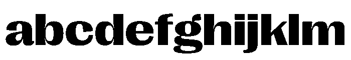PPRightGothic WideDark Instance FONT