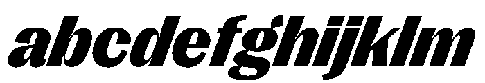 PPRightGothicCasual BlackItalic Instance FONT