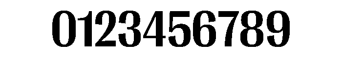 PPRightGothicCompact Bold Instance Font OTHER CHARS