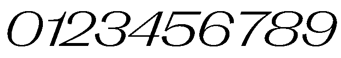 PPRightGothicSpatial LightItalic Instance Font OTHER CHARS