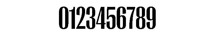 PPRightGothicTight Bold Instance Font OTHER CHARS