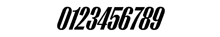 PPRightGothicTight DarkItalic Instance Font OTHER CHARS