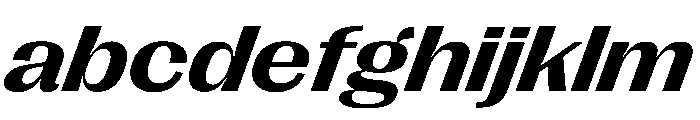 PPRightGothicWide BoldItalic Instance FONT