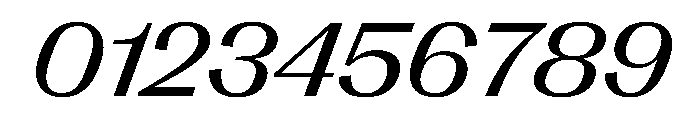 PPRightGothicWide RegularItalic Instance Font OTHER CHARS