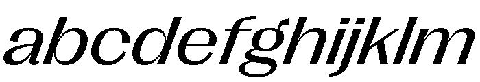 PPRightGothicWide RegularItalic Instance FONT