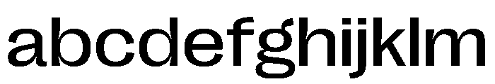 PPRightGrotesk WideRegular Instance FONT
