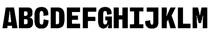 PPRightGroteskMono Black Instance Font UPPERCASE