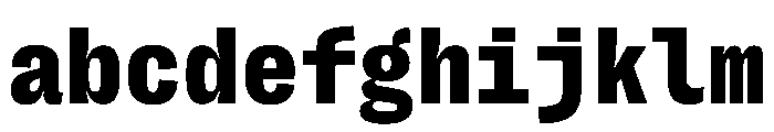 PPRightGroteskMono Black FONT