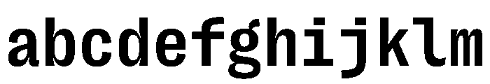 PPRightGroteskMono Bold Instance FONT