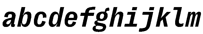 PPRightGroteskMono BoldItalic FONT